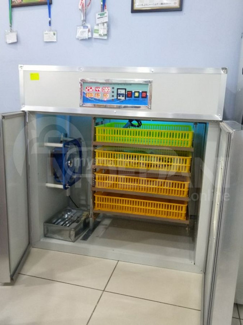 ინკუბატორი 352 თბილისი - photo 1