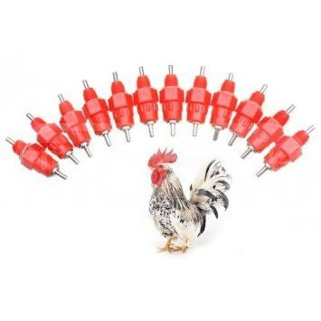 იყიდება ნიპელი თბილისი - photo 2