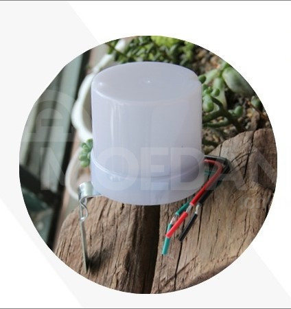 Lighting controller Tbilisi - photo 4