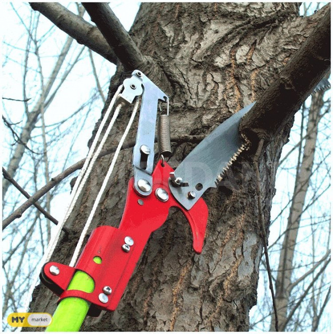 ხეების სასხლავი თბილისი - photo 1