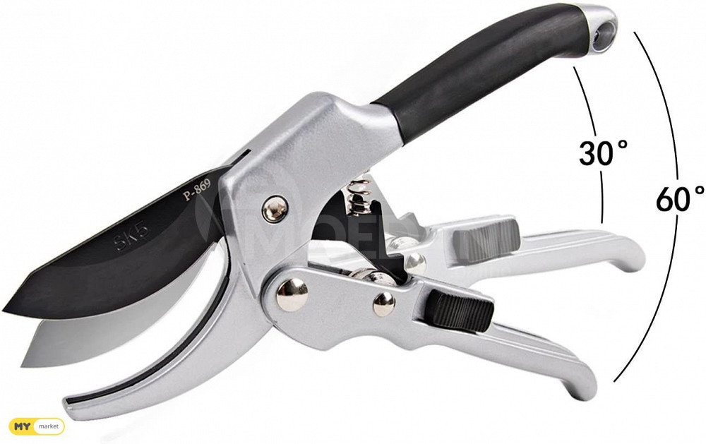 სასხლავი მაკრატელი თბილისი - photo 3