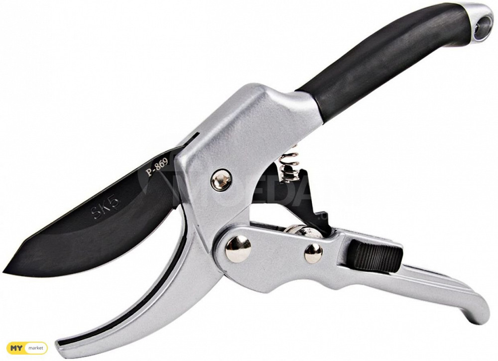 სასხლავი მაკრატელი თბილისი - photo 4