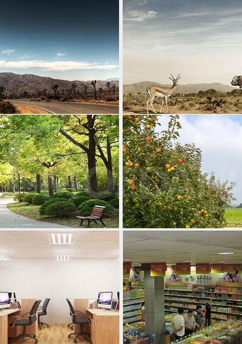 სათვალთვალო კამერა ღამის თბილისი - photo 6