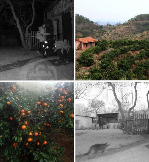 სათვალთვალო კამერა ღამის თბილისი - photo 5