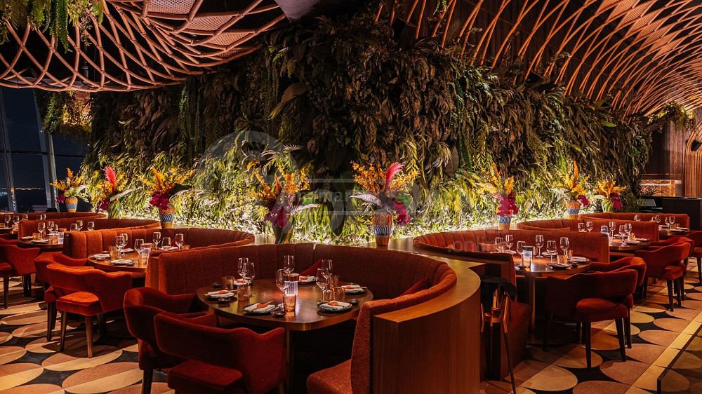 სარესტორნო ავეჯი იაფად თბილისი - photo 1