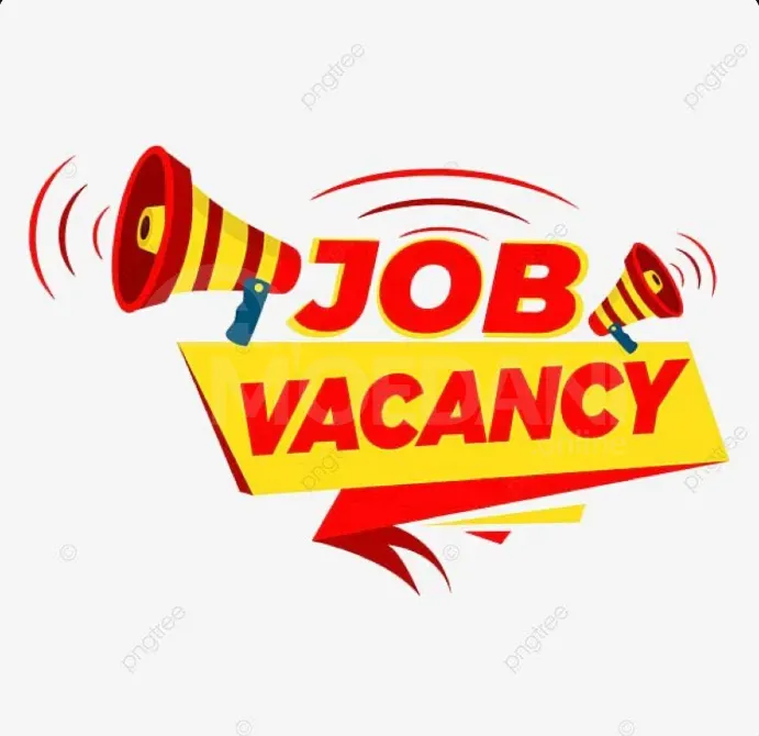 Job opening for day shift consulting Tbilisi - photo 1