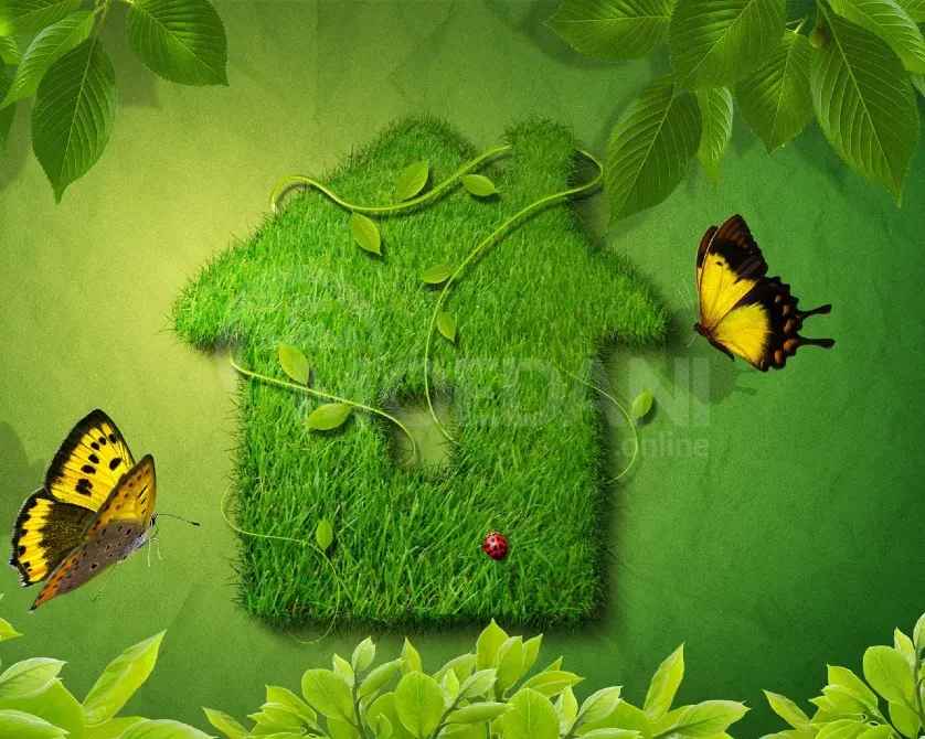 Pressing Tbilisi - photo 1