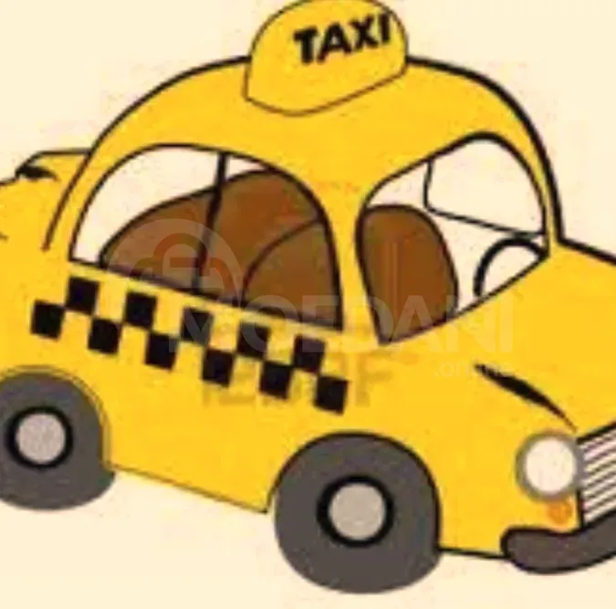 Taxi driver Tbilisi - photo 1