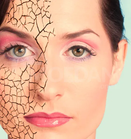 Ფოტოშოპის მცოდნე თბილისი - photo 1