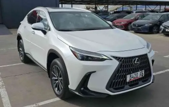 Lexus NX 2022 თბილისი