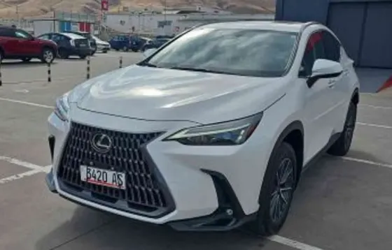 Lexus NX 2022 თბილისი