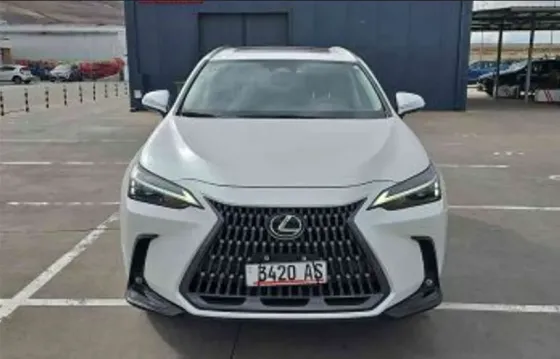 Lexus NX 2022 თბილისი