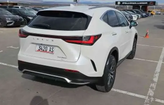 Lexus NX 2022 თბილისი