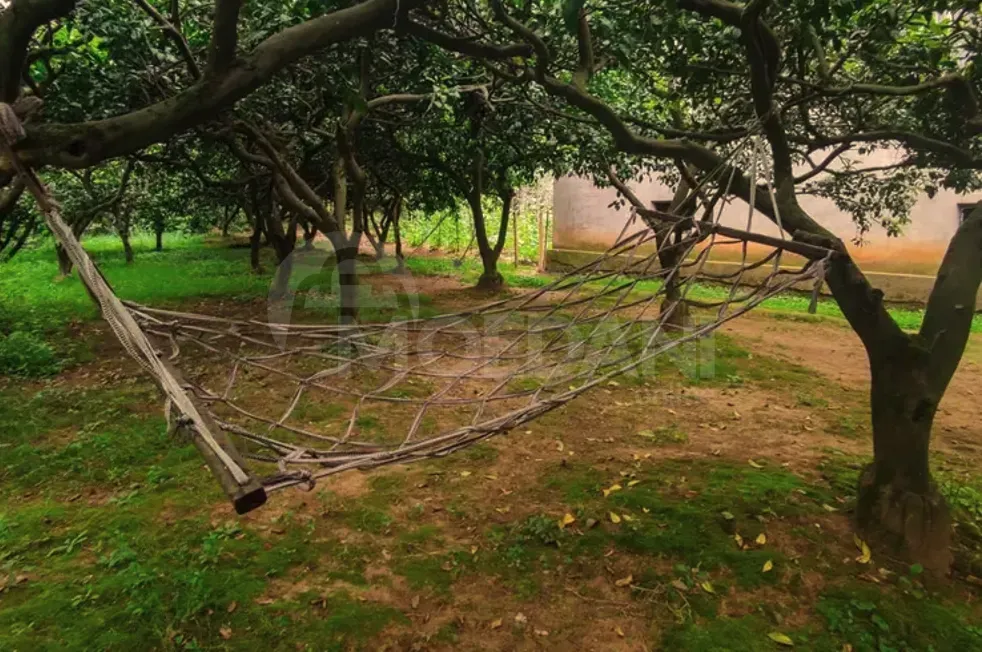 Продам Дом 3550м² Батуми - изображение 3