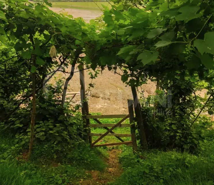 Продам Дом 3550м² Батуми - изображение 2