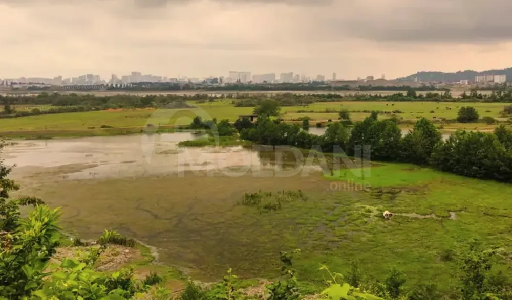 Продам Дом 3550м² Батуми - изображение 1