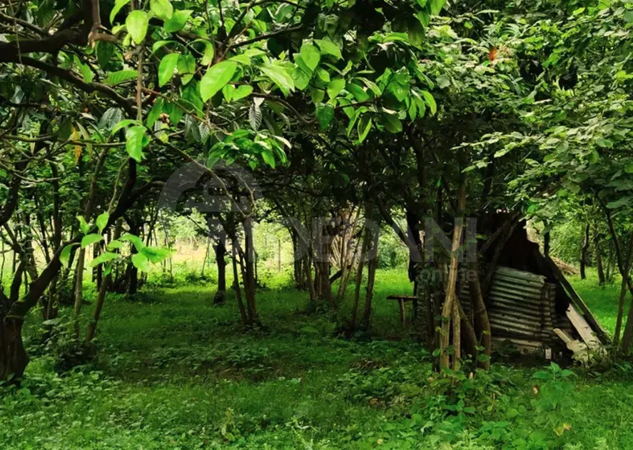 Продам земельный участок 2200м² Батуми - изображение 1