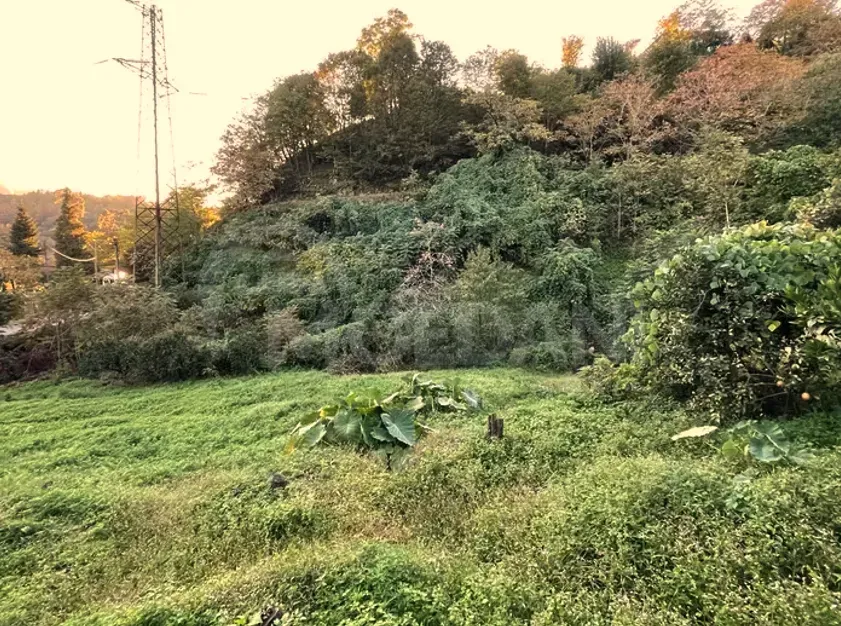 იყიდება მიწის ნაკვეთი 2307м² ქობულეთი - photo 4