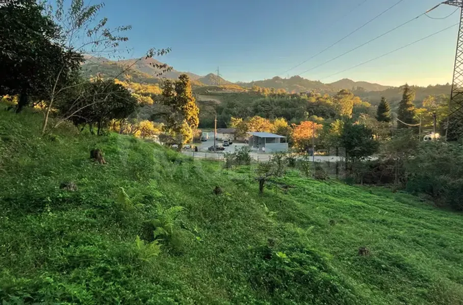 იყიდება მიწის ნაკვეთი 2307м² ქობულეთი - photo 6