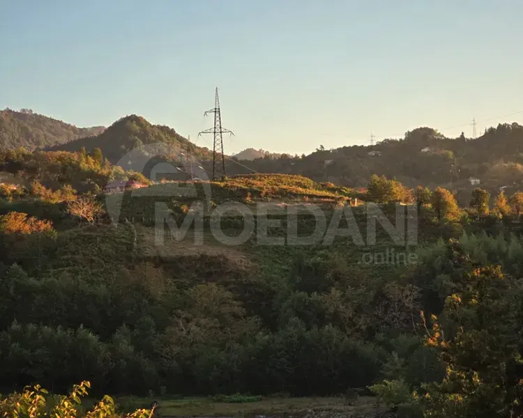 იყიდება მიწის ნაკვეთი 2307м² ქობულეთი - photo 2