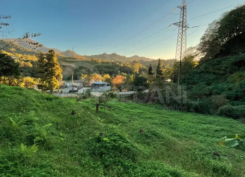 იყიდება მიწის ნაკვეთი 2307м² ქობულეთი - photo 5