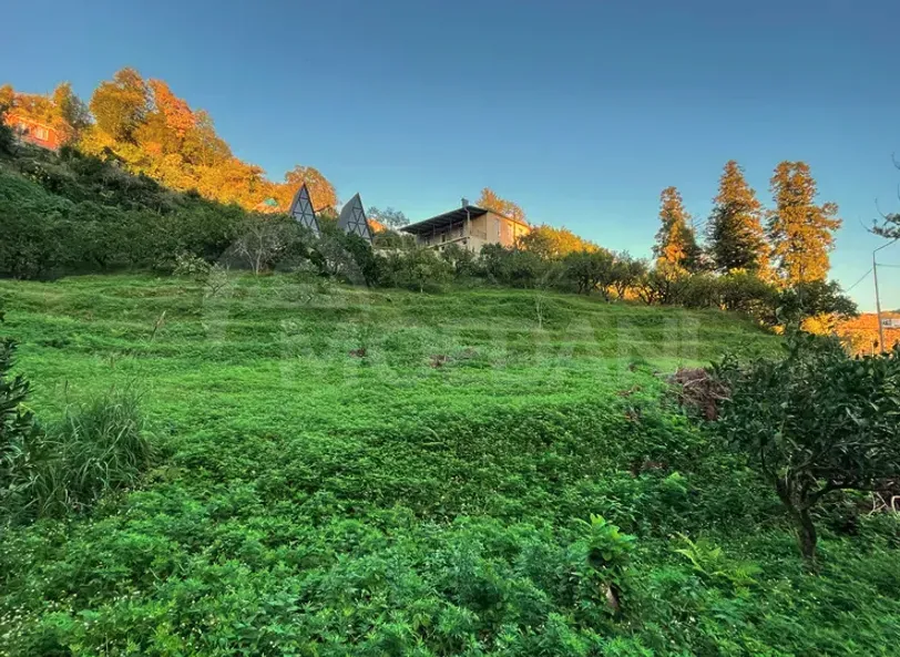 იყიდება მიწის ნაკვეთი 2307м² ქობულეთი - photo 11