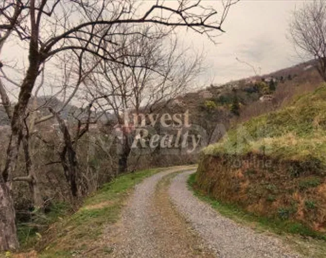 Продам земельный участок 2500м² Батуми - изображение 5