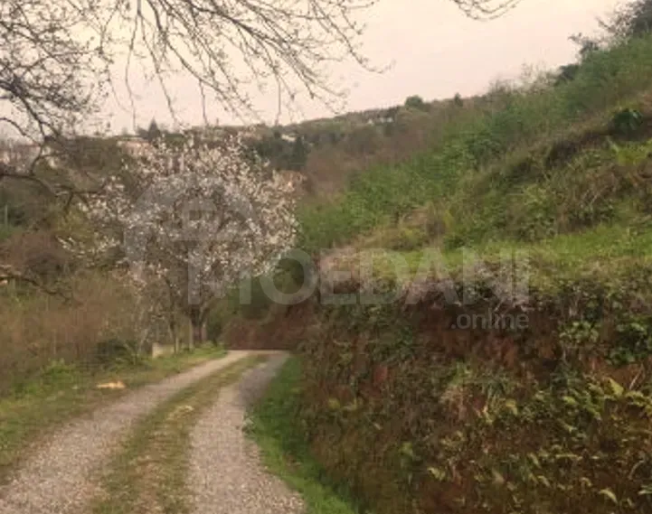 Продам земельный участок 2500м² Батуми - изображение 4