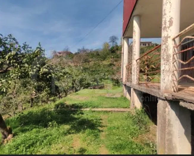 House for sale 4000м² Kobuleti - photo 4