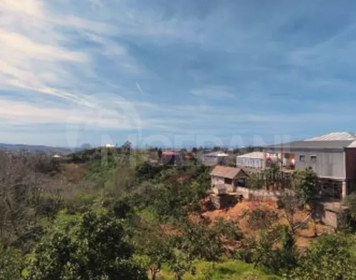 House for sale 4000м² Kobuleti - photo 6