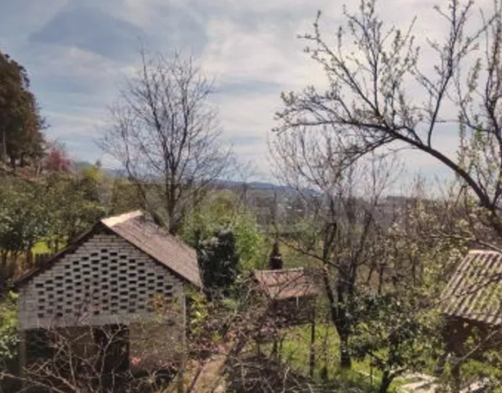 House for sale 4000м² Kobuleti - photo 5