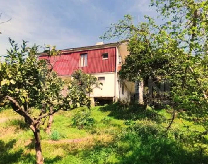 House for sale 4000м² Kobuleti - photo 1