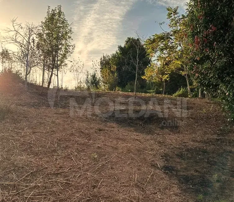 Продам земельный участок 1280м² Батуми - изображение 9