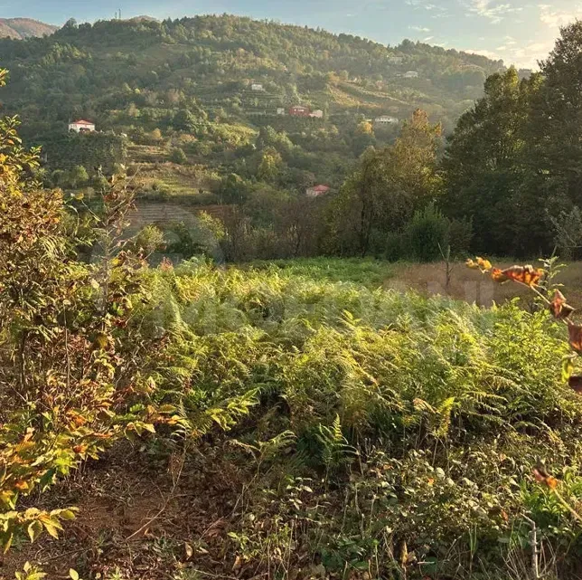 Продам земельный участок 1280м² Батуми - изображение 3