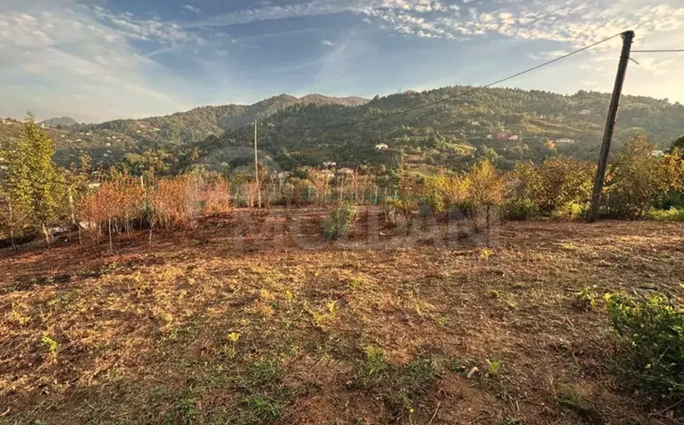 Продам земельный участок 1280м² Батуми - изображение 6