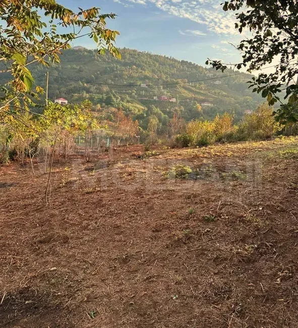 Продам земельный участок 1280м² Батуми - изображение 8