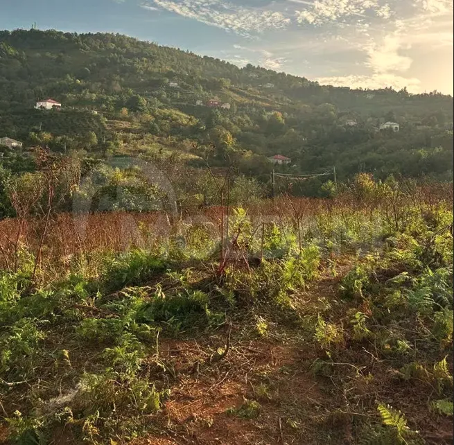 Продам земельный участок 1280м² Батуми - изображение 10