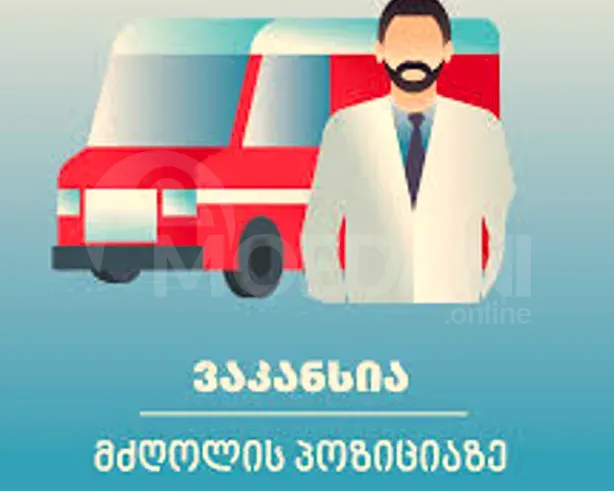 Leader Tbilisi - photo 1