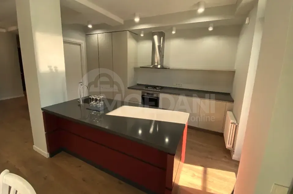 ქირავდება 4 ოთახიანი ბინა 175მ² 4/6 სართ თბილისი - photo 10