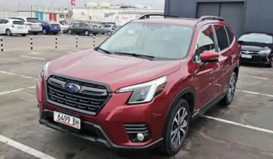 Subaru Forester 2023 Tbilisi