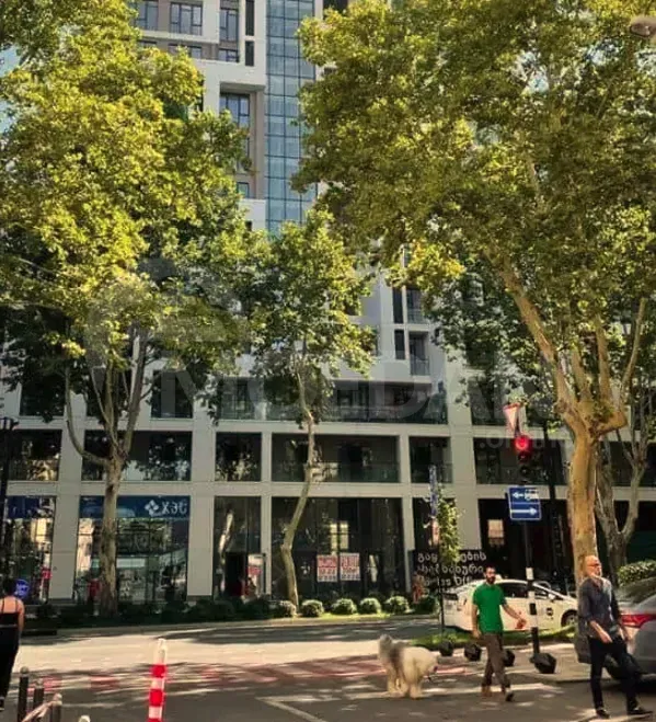 Сдам 3-комн. квартиру 125м² 8/21 эт. Тбилиси - изображение 10