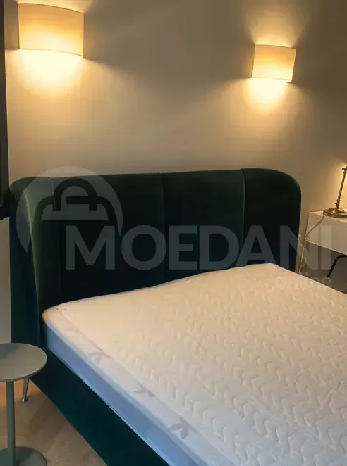 Apartments For Rent three-room 100м² 5/14 floor Tbilisi - photo 9