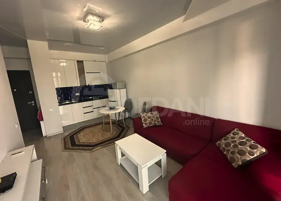 ქირავდება 2 ოთახიანი ბინა 53.5მ² 3/10 სართ თბილისი - photo 2