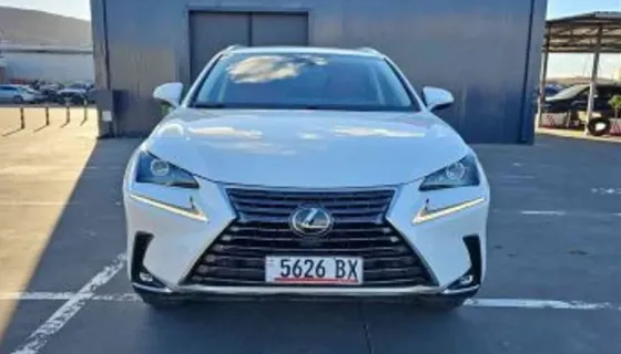 Lexus NX 2021 Tbilisi