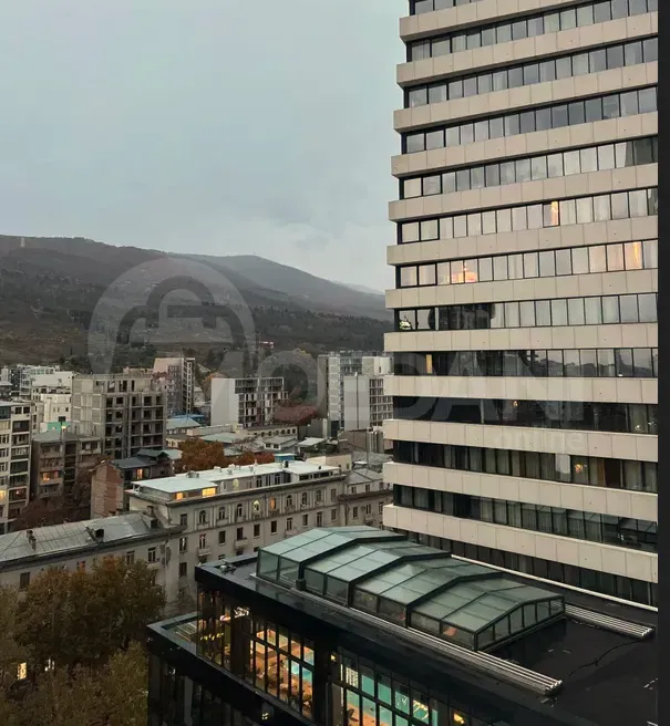 Apartments For Rent four-room 133м² 12/20 floor Tbilisi - photo 2