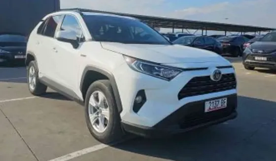 Toyota Rav4 2021 თბილისი