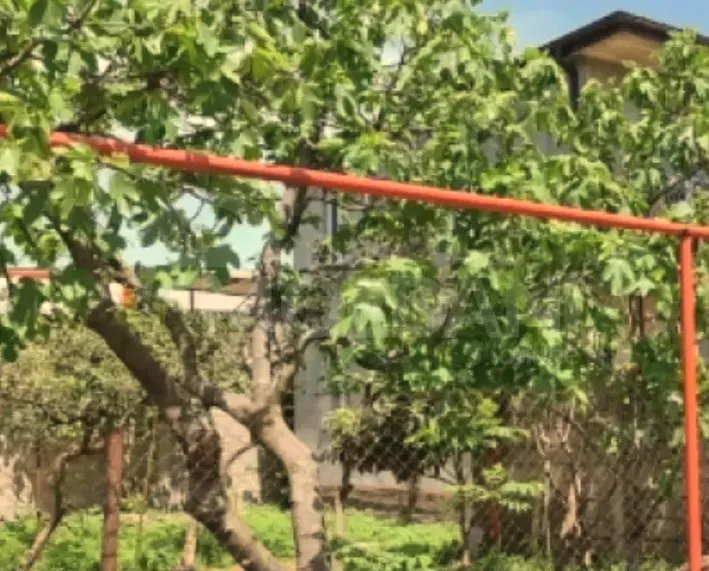 Продам Дом 407м² Батуми - изображение 4