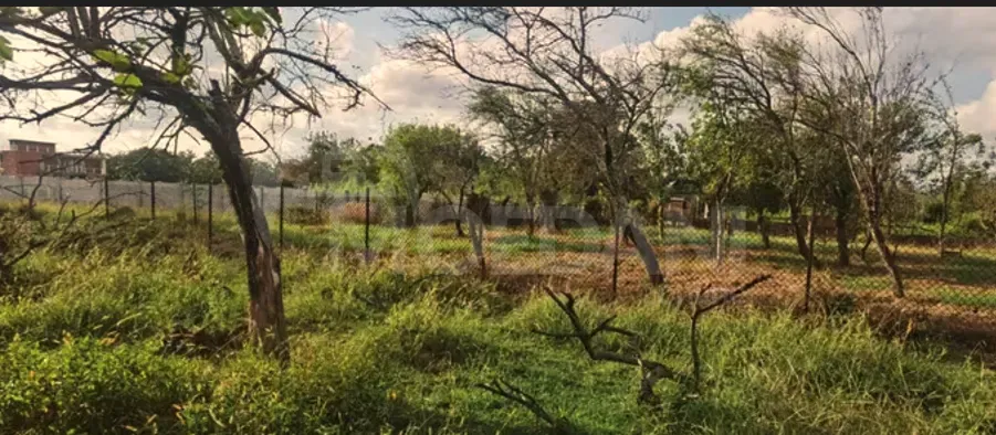 Продам Дача 600м² Цхалтубо - изображение 5