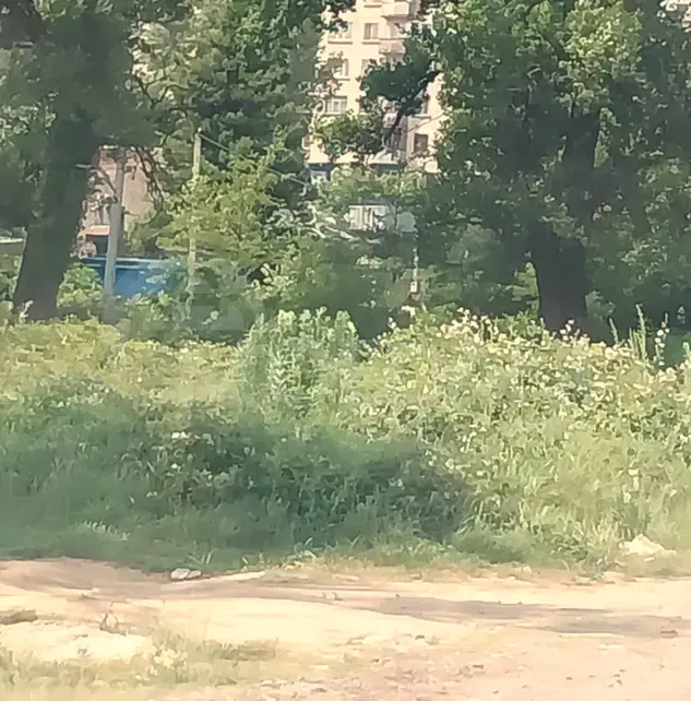 Продам земельный участок 5000м² Kutaisi - photo 8