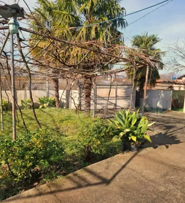 აგარაკი 3000м² ვანი - photo 12